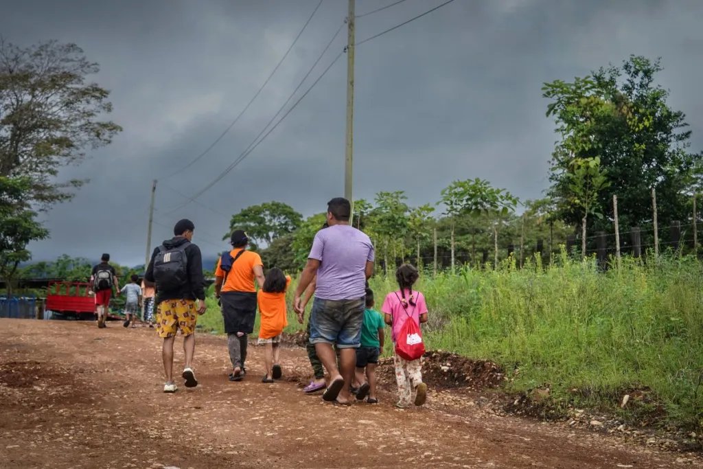 MMC’s Returnee Reintegration Study