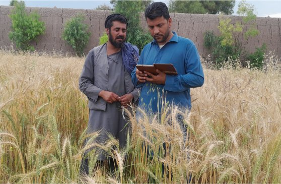 Snap Survey Data Collection (CAPI or CATI)