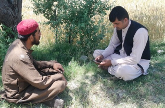 Key Informant Interviews (In-depth Expert or Stakeholder Conversations)