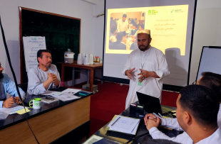 Practical MEL Fundamentals Training