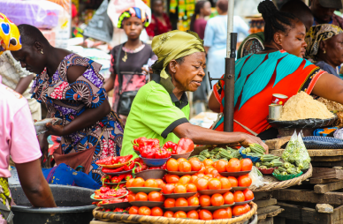 Vendor & Supplier Mini Assessment